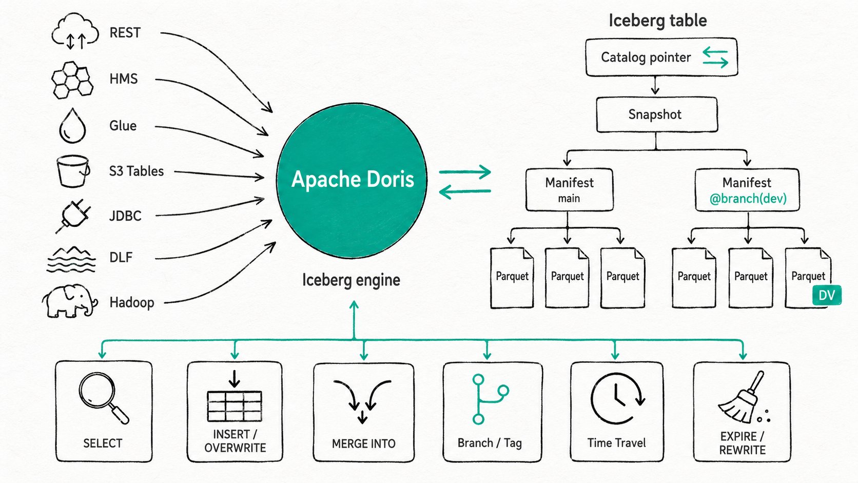 Apache Doris Iceberg integration: a full Iceberg engine connected to seven catalog backends with read and write operations, branches and tags, time travel, and table maintenance.
